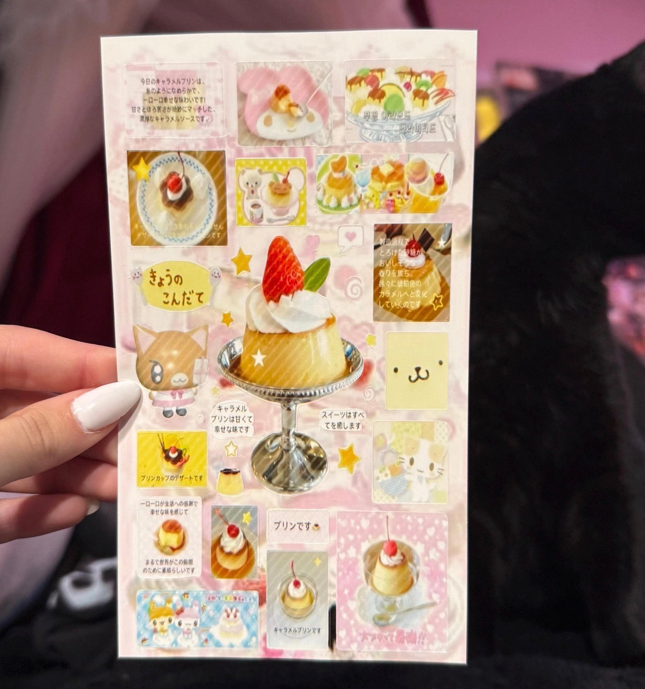 🍮Cutecore Pudding Sticker Sheet
