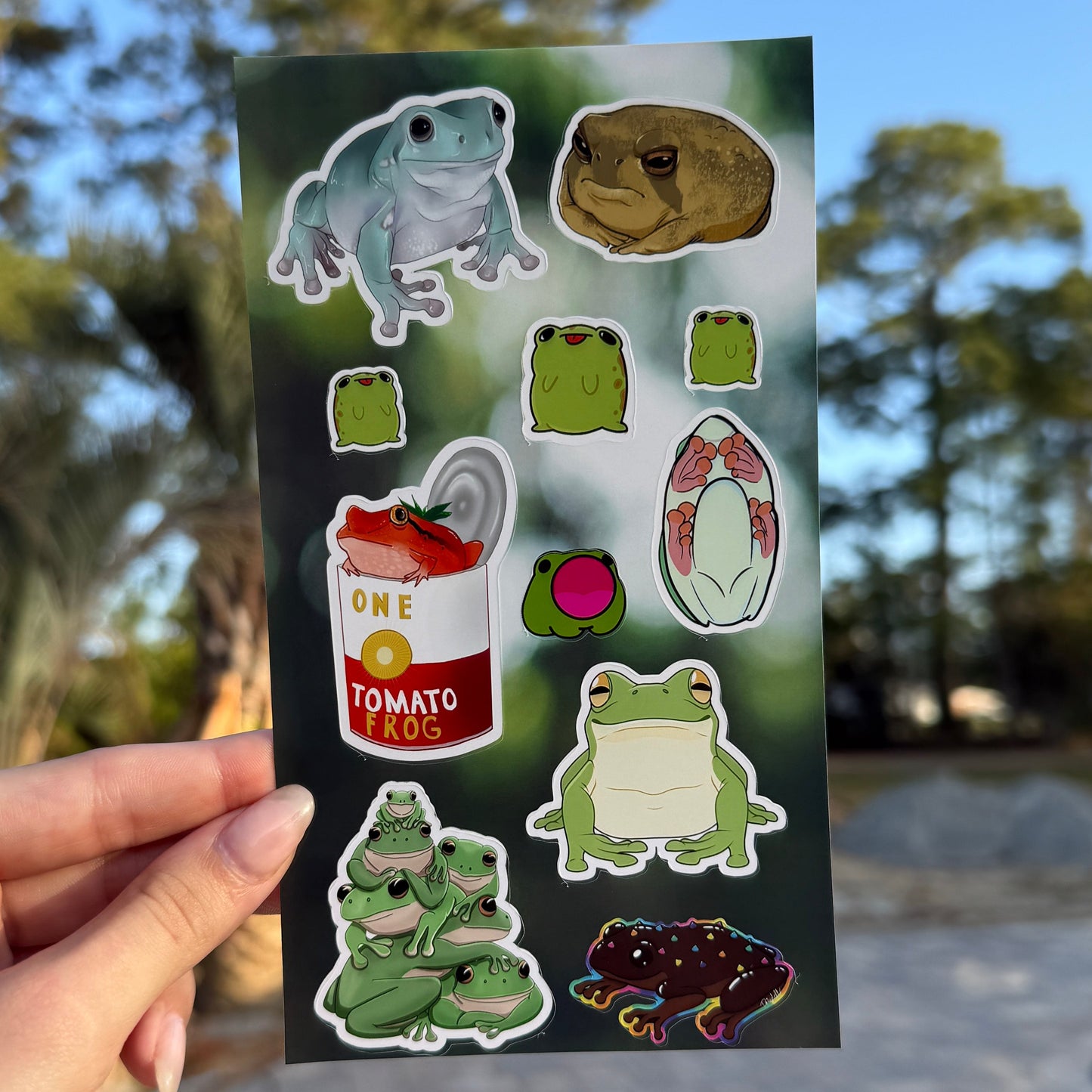 🐸Cute Frog Laminated Sticker Sheet