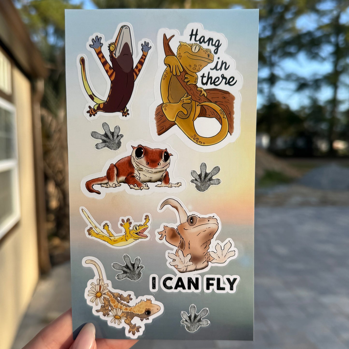 🦎Crested Gecko Laminated Reptile Sticker Sheet