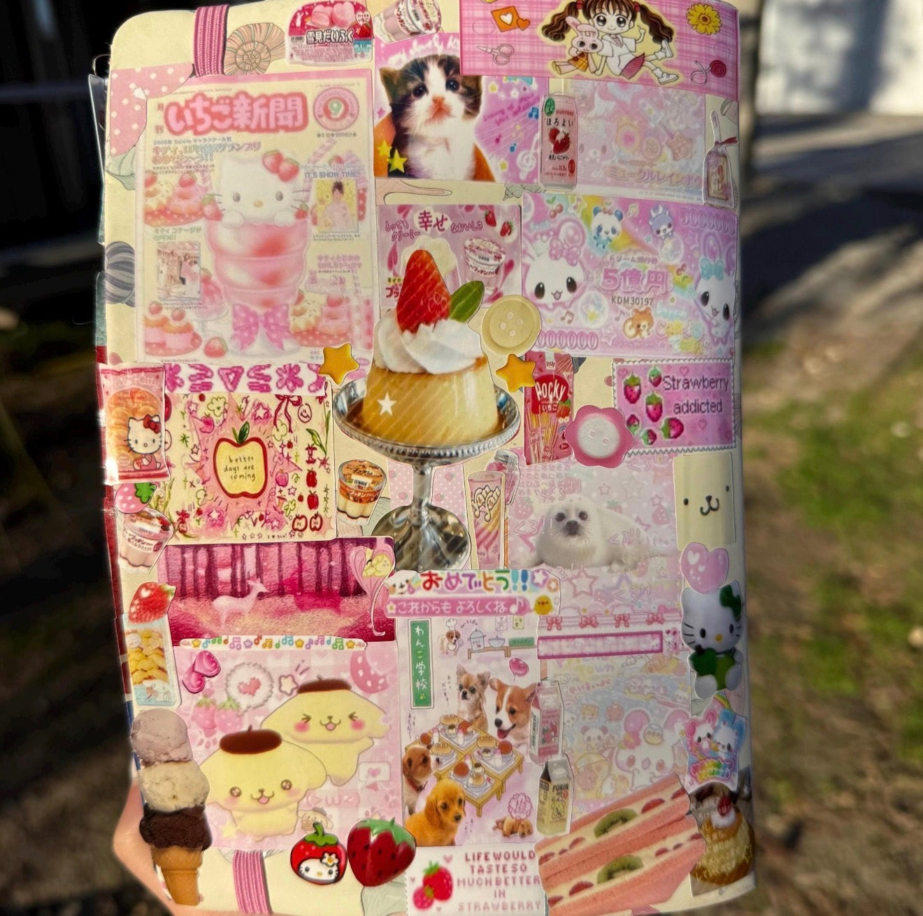 🌸Cutecore Anime Inspired Stickers, 5 Sheets Bundle